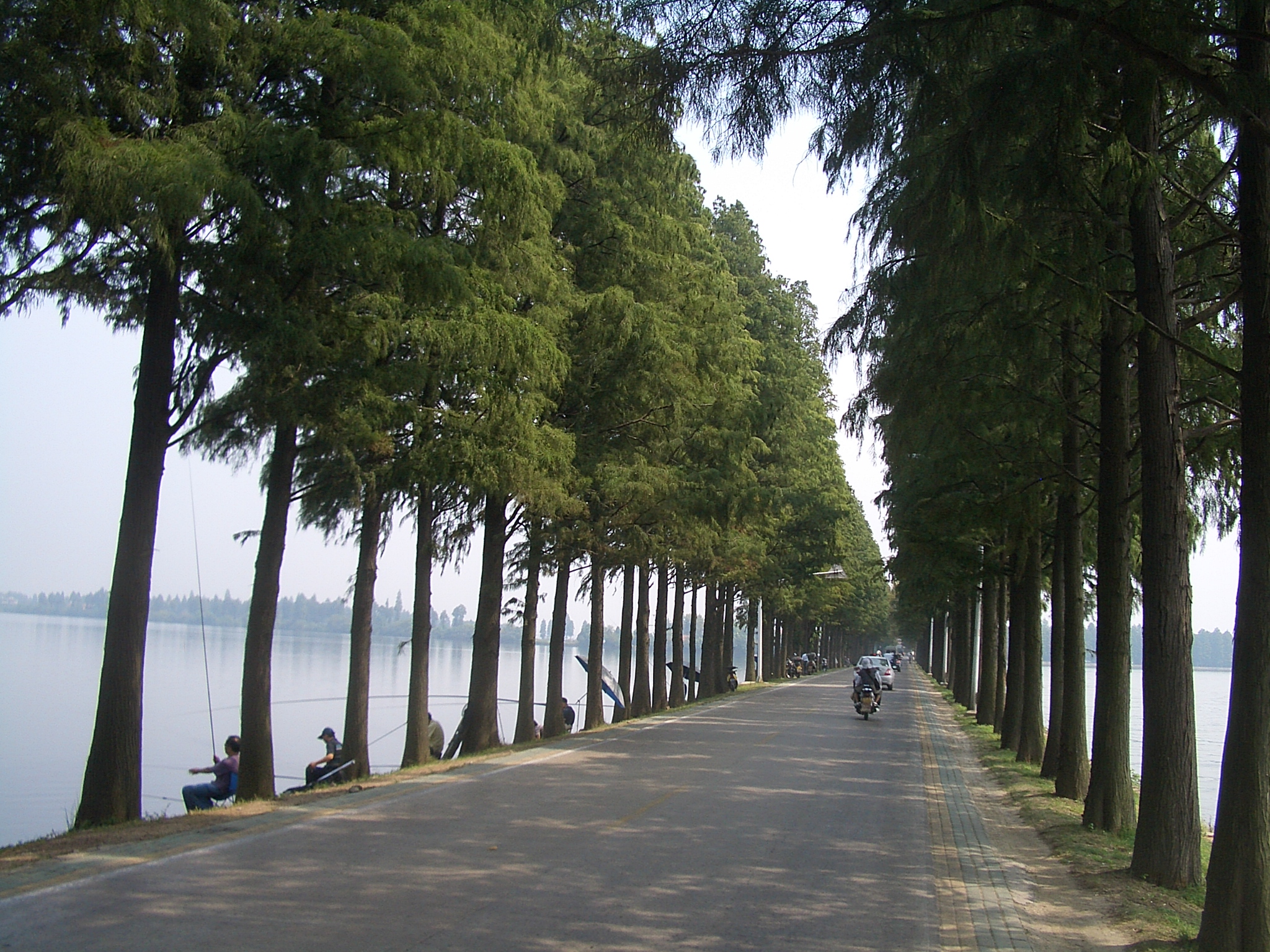 Wuhan-Donghu-dike-0375